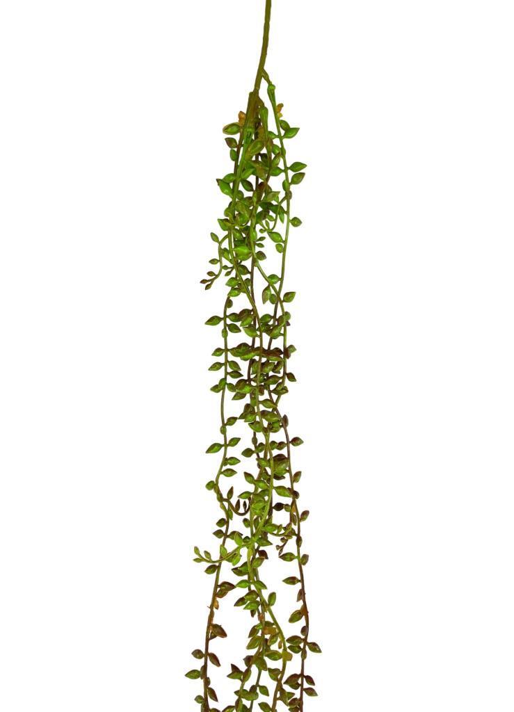 Yapay Çiçek Sarkan Kahverengi Detaylı String Okaliptus Skulent 70cm 5Dal