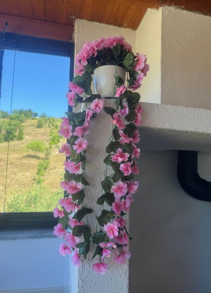 Yapay Çiçek Sarkan Pembe Menekşe Krem Rengi Saksıda 4 Sarkan Dallı 70cm 