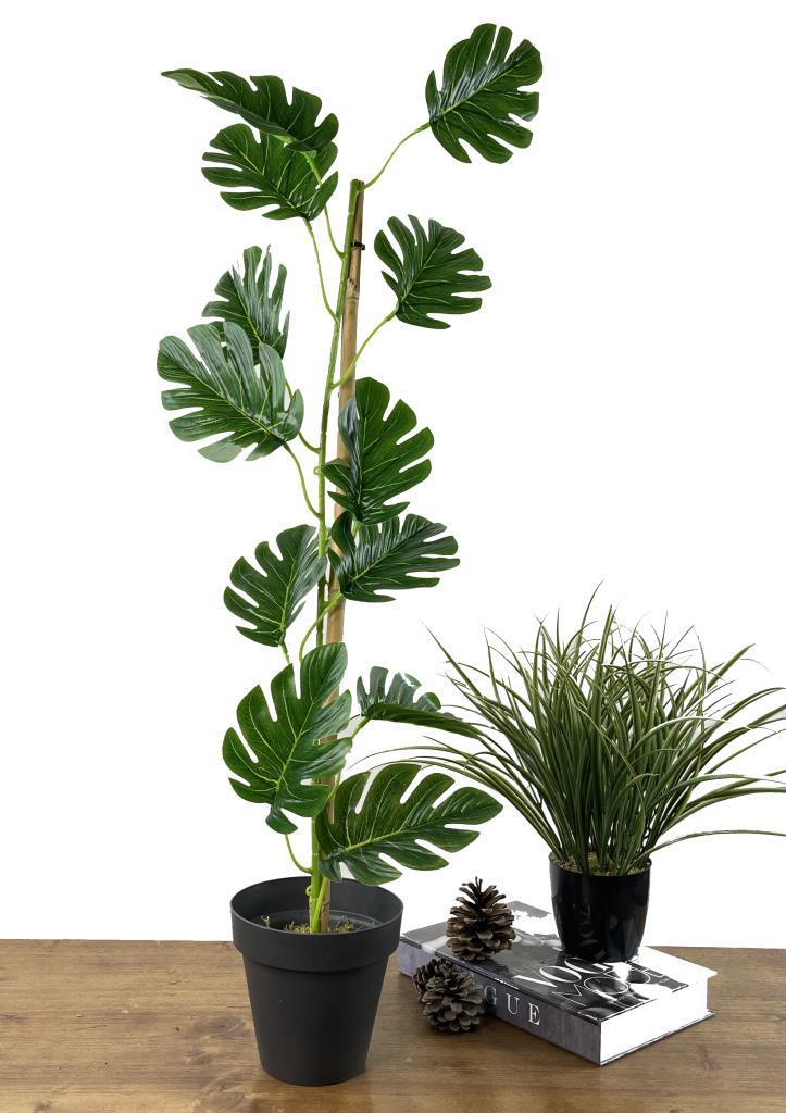 Yapay Çiçek Sarmaşık  Monstera Salon Bitkisi Siyah Saksılı 80cm 12 Yapraklı