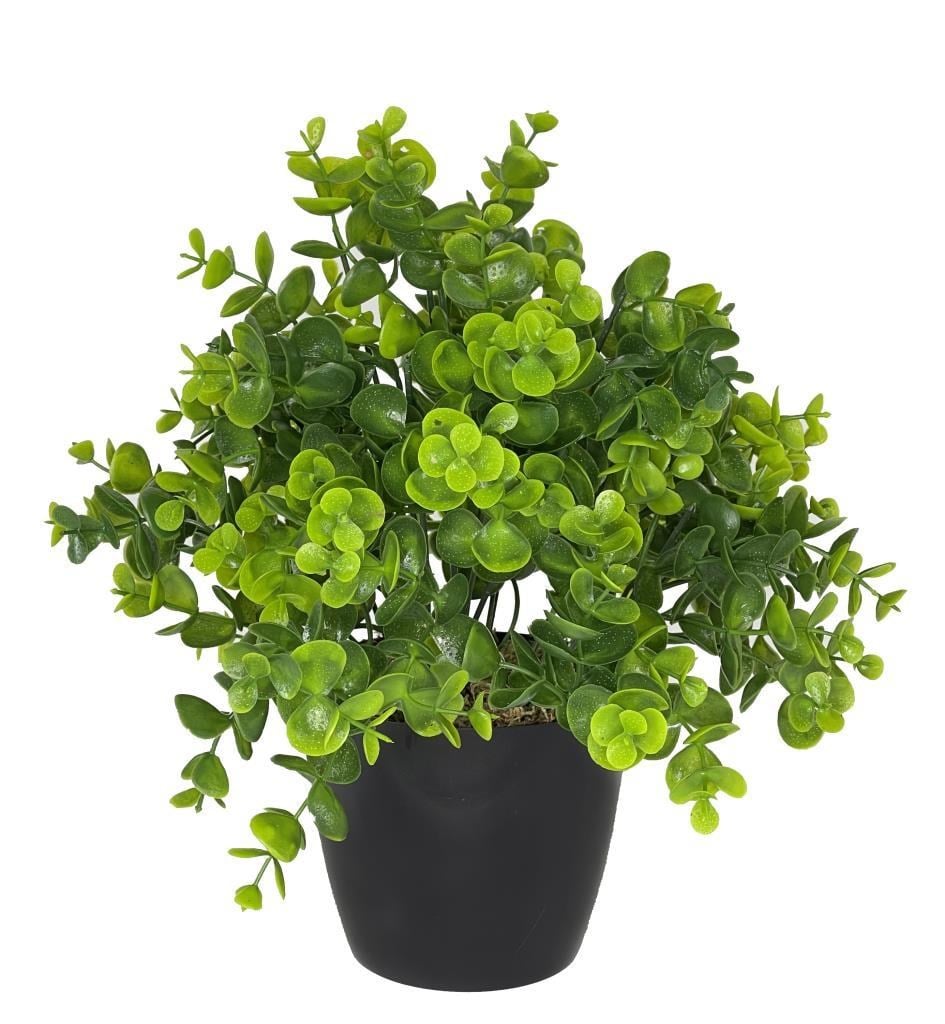 Yapay Çiçek Şimşir Eucalyptus Yapay Bitki Siyah Plastik Saksılı Dekoratif Süs Çiçeği