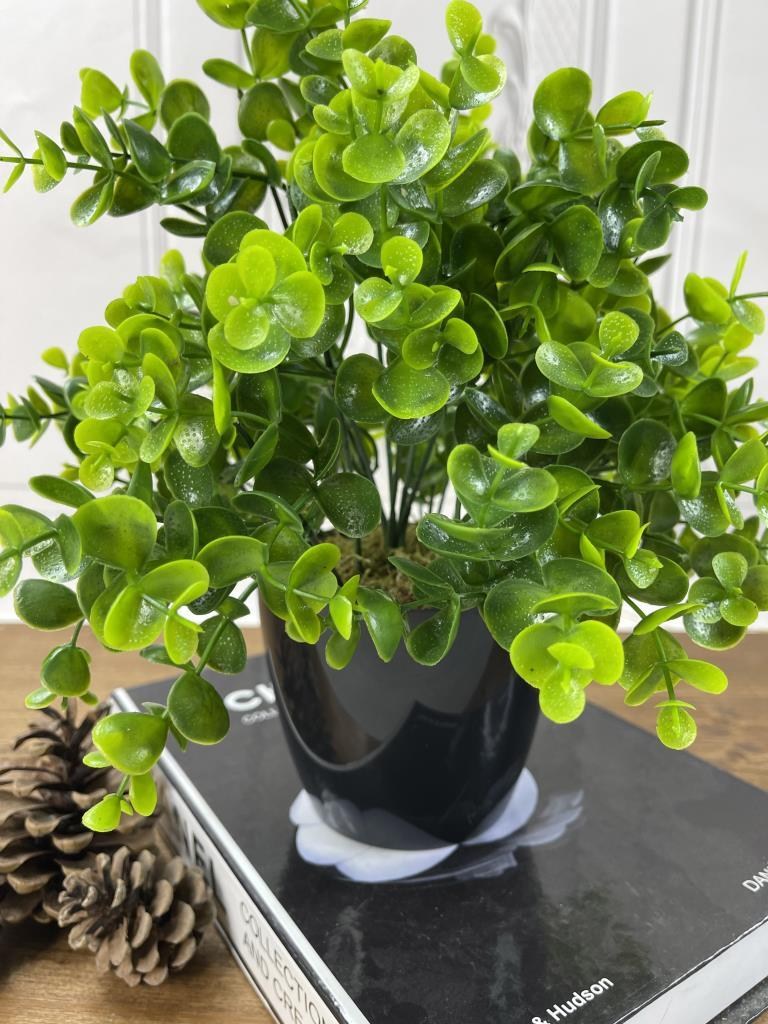 Yapay Çiçek Şimşir Eucalyptus Yapay Bitki Siyah Plastik Saksılı Dekoratif Süs Çiçeği