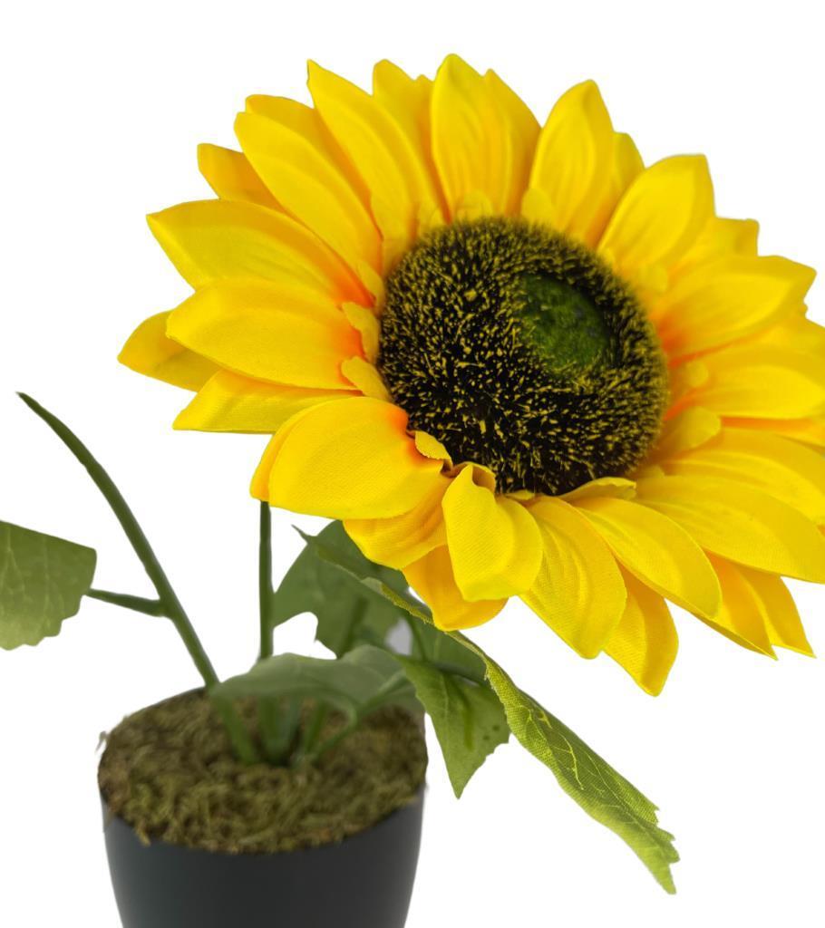 Yapay Çiçek Siyah Saksıda Ay Çiçeği 3Kafa 38cm 
