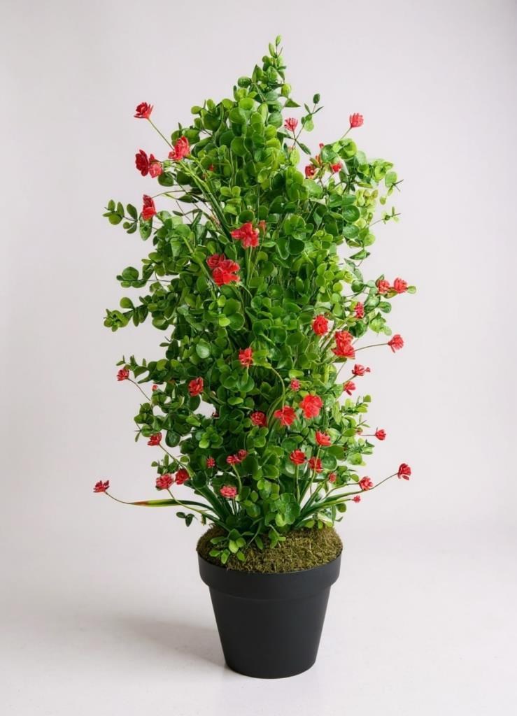 Yapay Çiçek Siyah Saksıda Kırmızı Lotuslu Yeşil Şimşir Ağacı 70*30cm