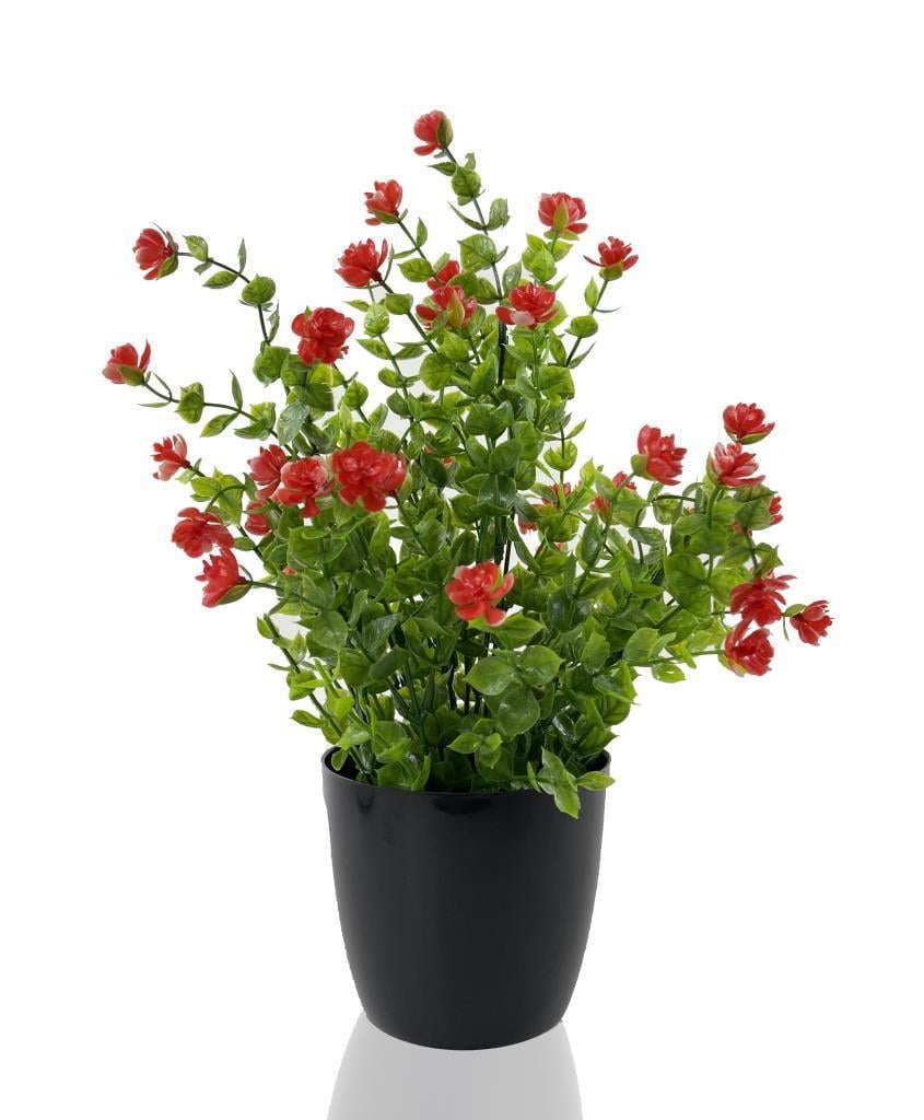 Yapay Çiçek Siyah Saksıda Kırmızı Mineli Şimşir Büyük Boy 33x25 cm