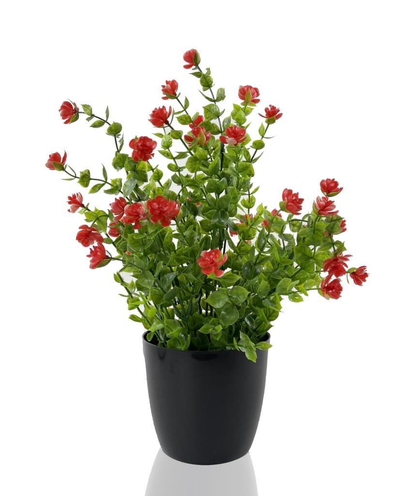 Yapay Çiçek Siyah Saksıda Kırmızı Mineli Şimşir Büyük Boy 33x25 cm