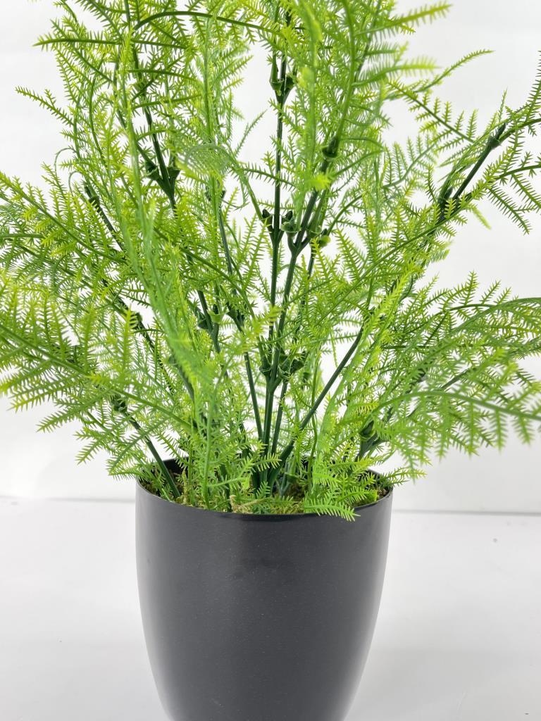 Yapay Çiçek Siyah Saksıda Kuşkonmaz Büyük Boy 34x23
