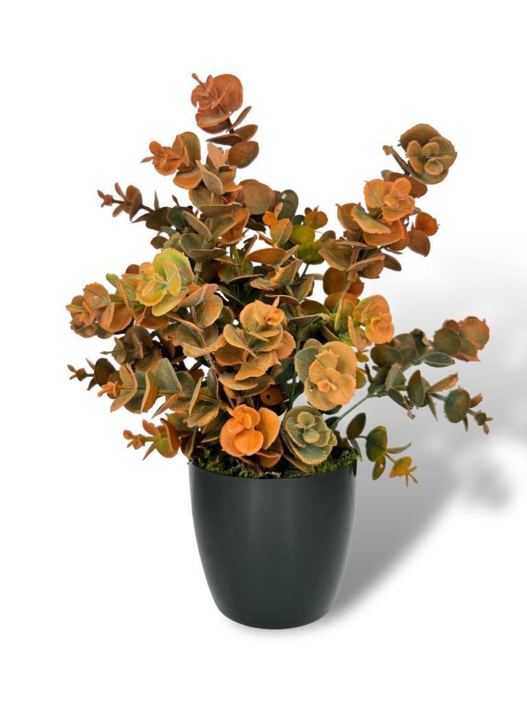 Yapay Çiçek Siyah Saksıda Okaliptus Şimşir Demeti Pudralı Pastel Turuncu Dekoratif Yapay Bitki