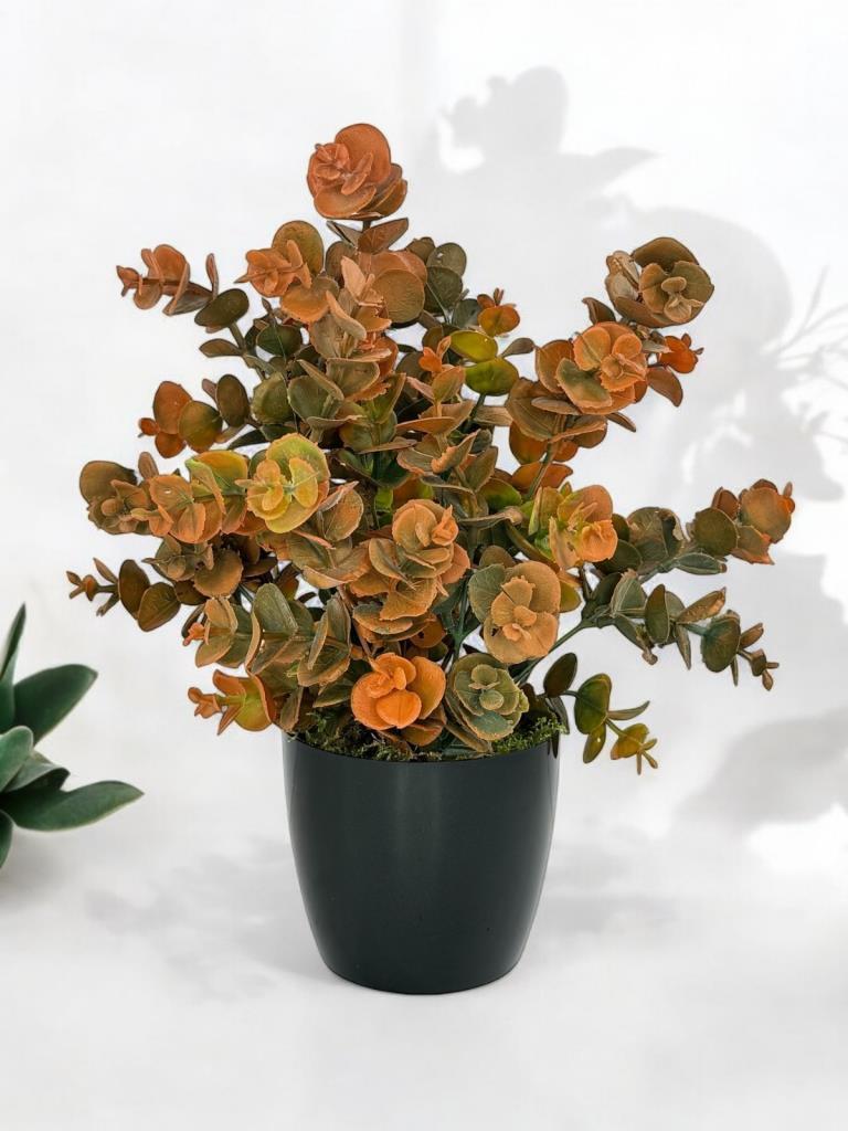 Yapay Çiçek Siyah Saksıda Okaliptus Şimşir Demeti Pudralı Pastel Turuncu Dekoratif Yapay Bitki