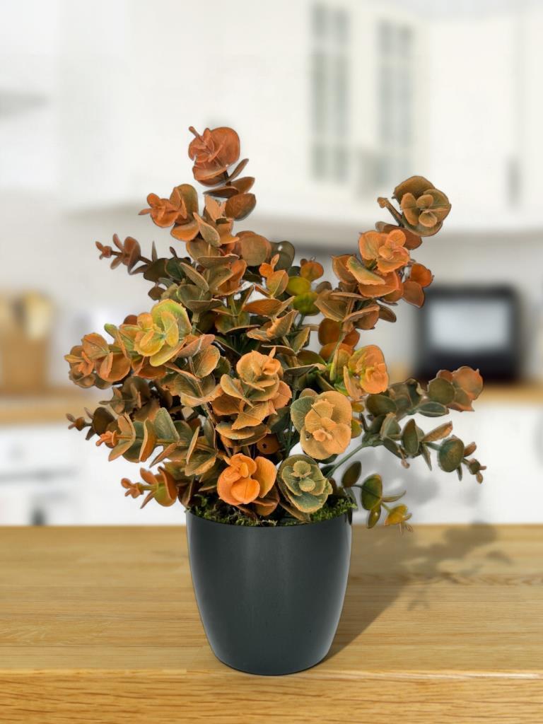Yapay Çiçek Siyah Saksıda Okaliptus Şimşir Demeti Pudralı Pastel Turuncu Dekoratif Yapay Bitki
