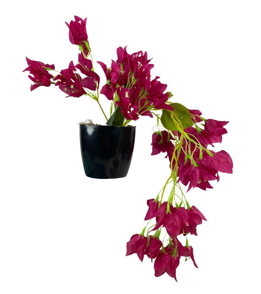 Yapay Çiçek Siyah Saksıda Sarkan Bodrum Begonvil Çiçeği Fuşya 40cm