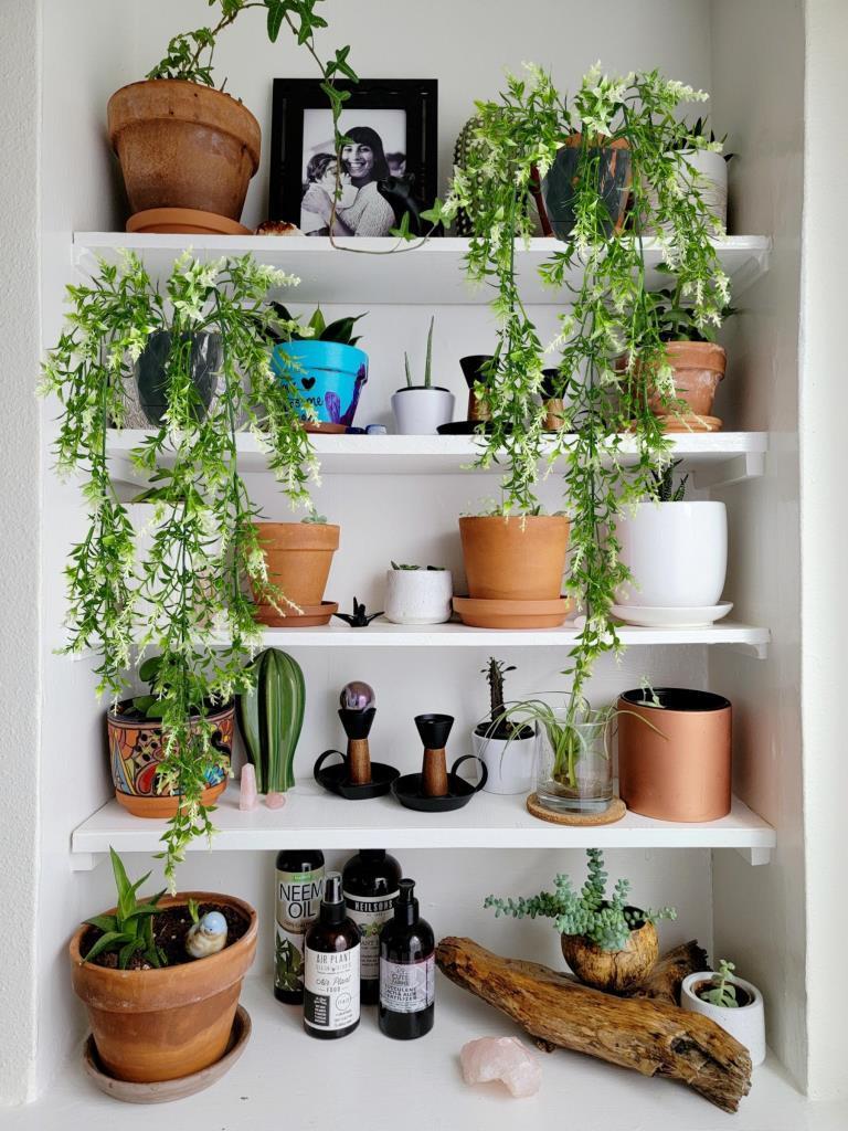 Yapay Çiçek Siyah Saksıda Sarkan ty60 Yeşil Beyaz Bitki Yapay Sarmaşık 60cm