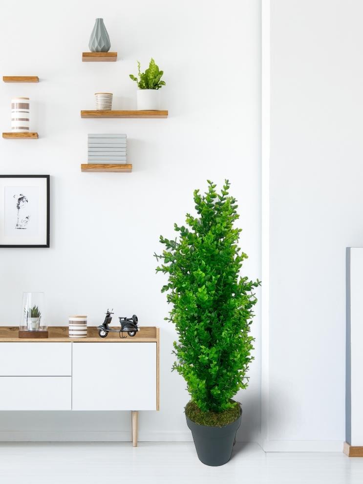 Yapay Çiçek Siyah Saksıda Yeşil Şimşir Ağacı 70*30cm