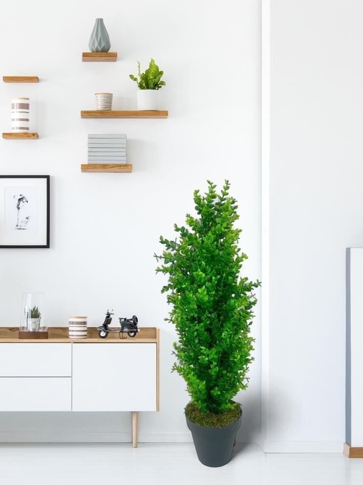 Yapay Çiçek Siyah Saksıda Yeşil Şimşir Ağacı 70*30cm