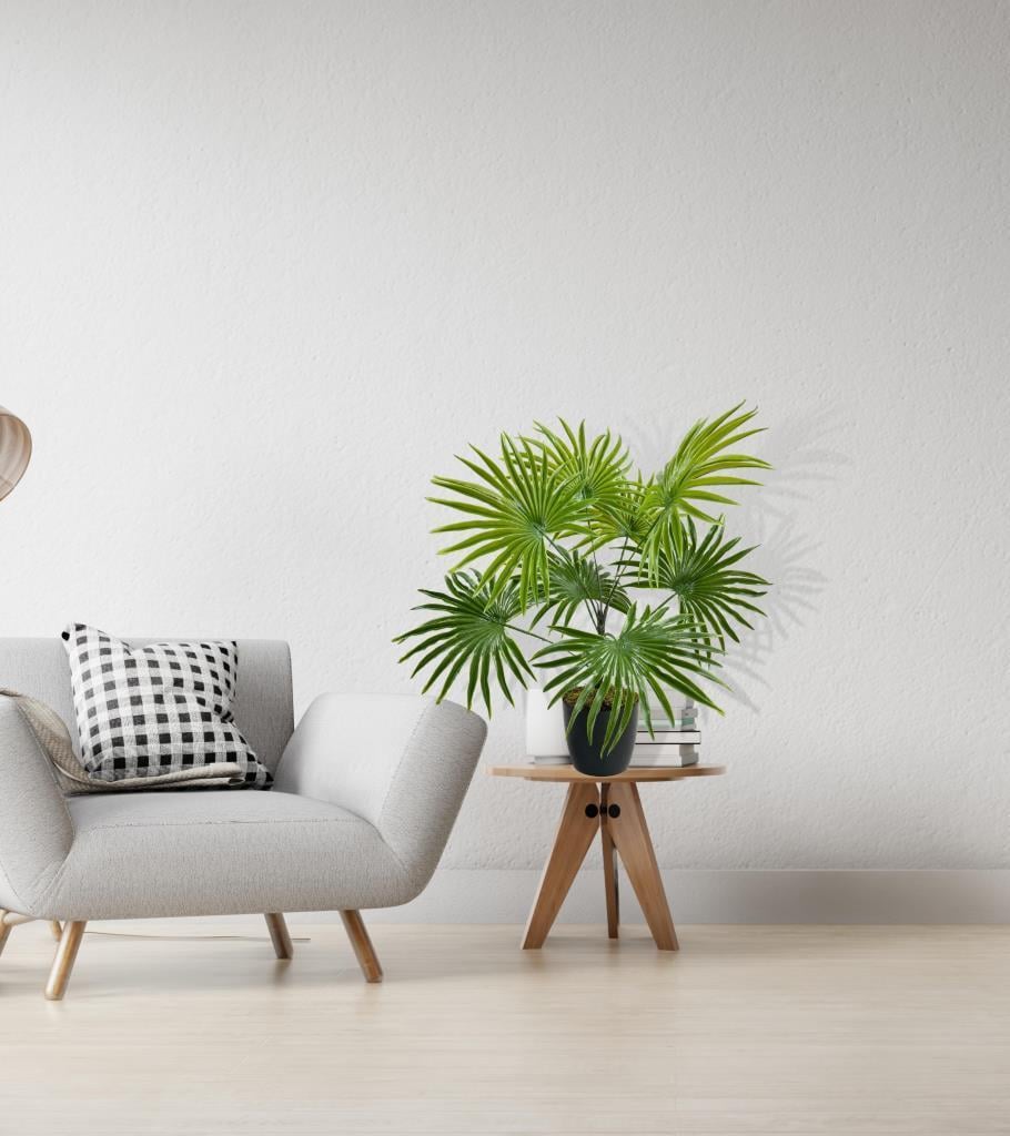 Yapay Çiçek Yelpaze Palmiye 8 Dal 50*40cm Salon Çiçeği Plastik Siyah Saksılı Yapay Bitki