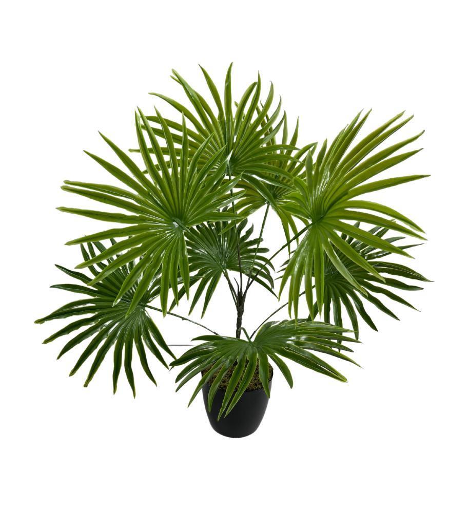 Yapay Çiçek Yelpaze Palmiye 8 Dal 50*40cm Salon Çiçeği Plastik Siyah Saksılı Yapay Bitki