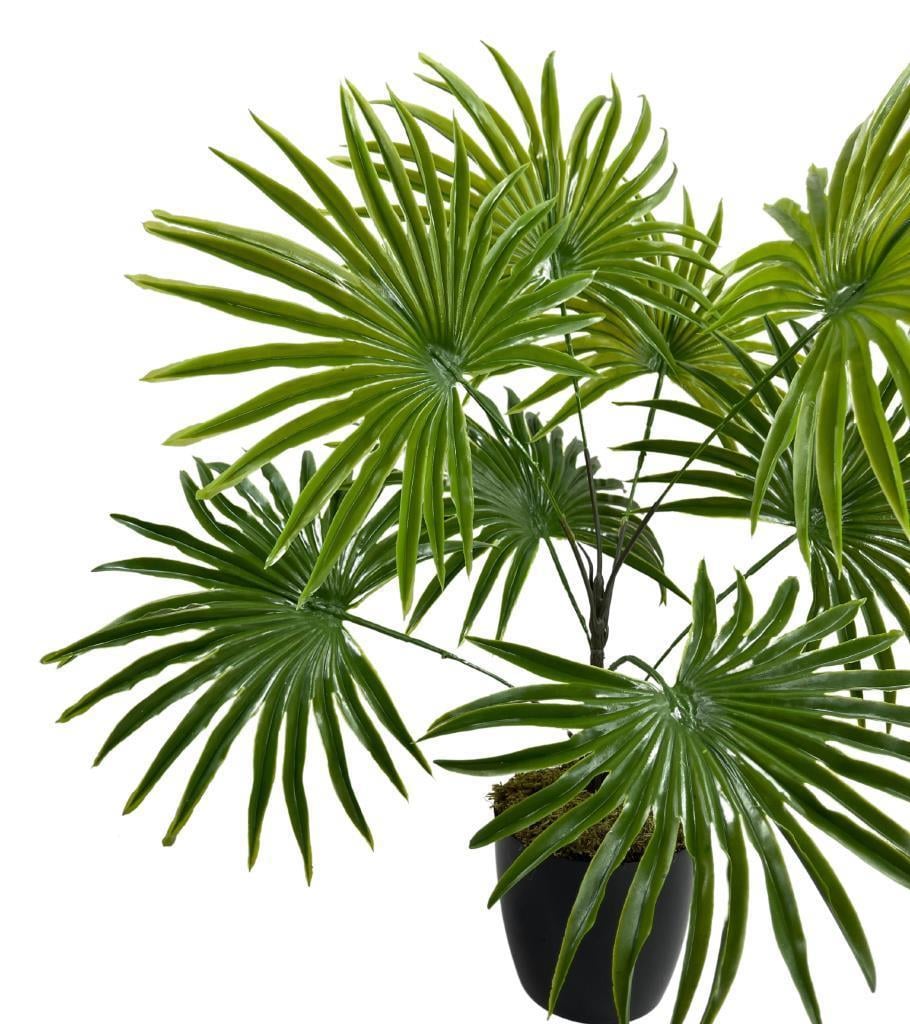 Yapay Çiçek Yelpaze Palmiye 8 Dal 50*40cm Salon Çiçeği Plastik Siyah Saksılı Yapay Bitki