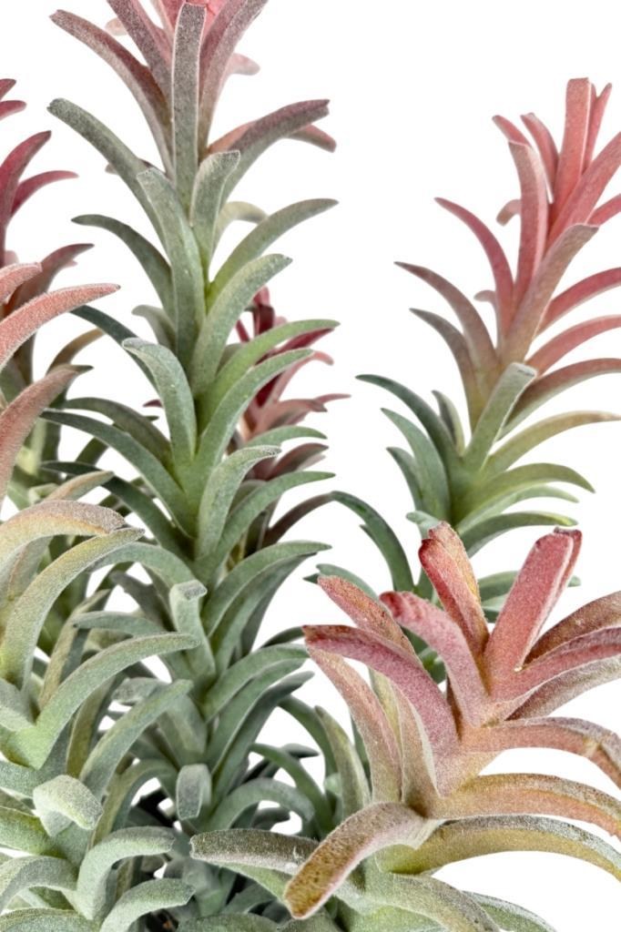 Yapay Kaktüs Ağacı Pembe Yeşil Renk - Beyaz Saksıda Yapay Bitki 55*25cm