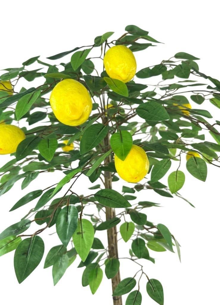 Yapay Limon Ağacı 100cm 12 Limonlu Doğal Görünümlü Siyah Plastik Saksılı Yapay Ağaç