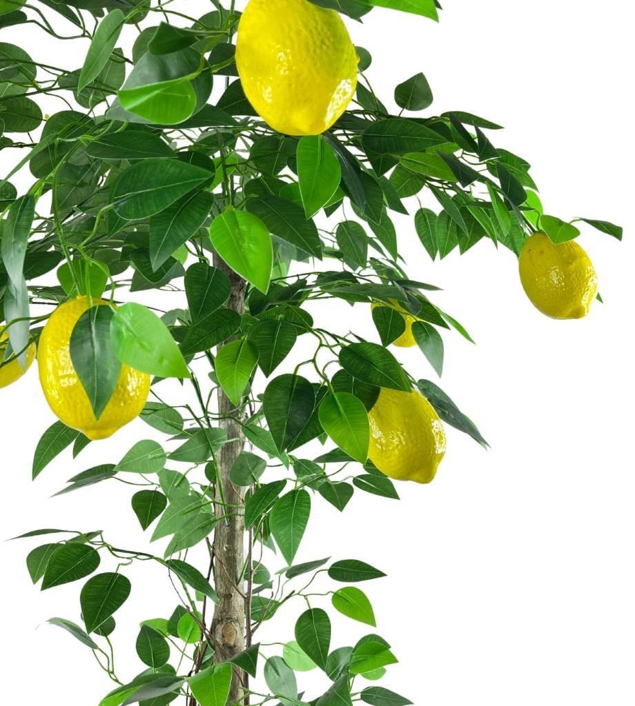 Yapay Limon Ağacı 130cm 8 Limonlu Doğal Görünümlü Siyah Plastik Saksılı Yapay Ağaç