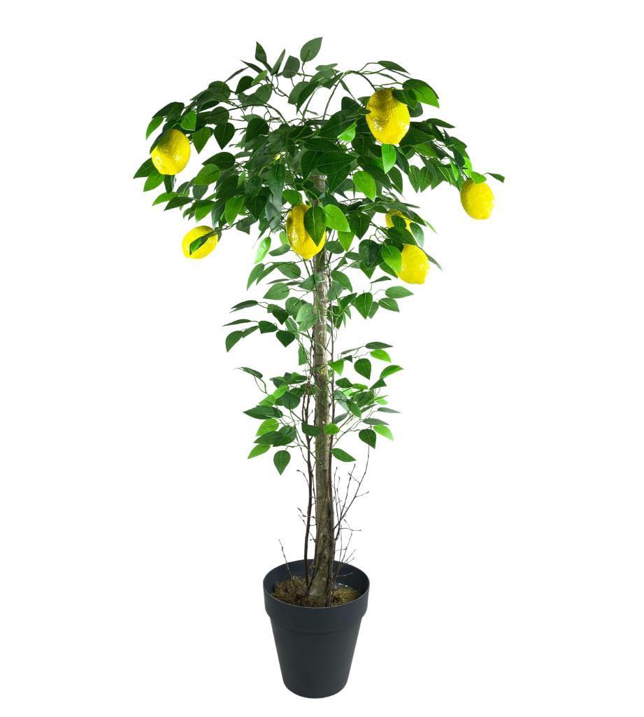 Yapay Limon Ağacı 130cm 8 Limonlu Doğal Görünümlü Siyah Plastik Saksılı Yapay Ağaç