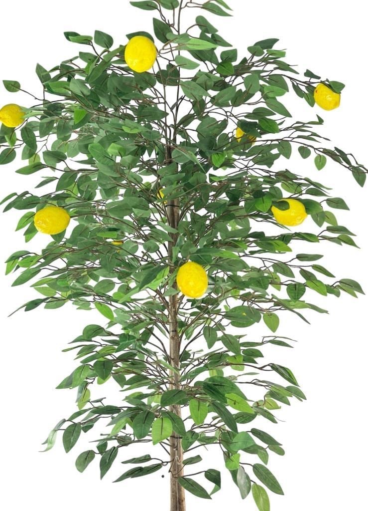 Yapay Limon Ağacı 160cm 10 Limonlu Doğal Görünümlü Beyaz Küre Plastik Saksılı Yapay Ağaç