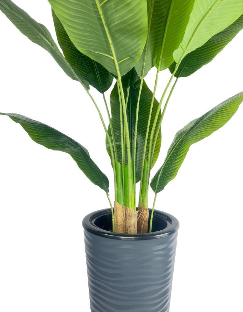 Yapay Starliçe Muz Ağacı Antrasit Kumsal Vazoda Muz Ağacı Yapay Starliçe 150cm 12 Yaprak