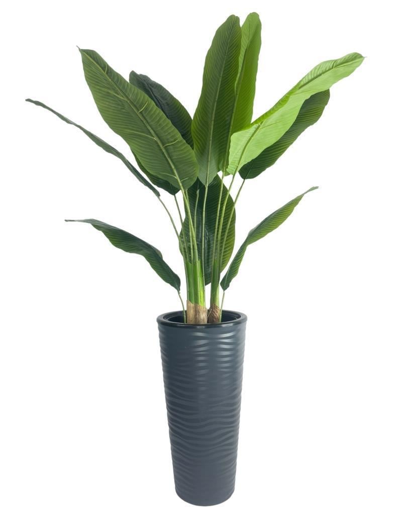 Yapay Starliçe Muz Ağacı Antrasit Kumsal Vazoda Muz Ağacı Yapay Starliçe 150cm 12 Yaprak
