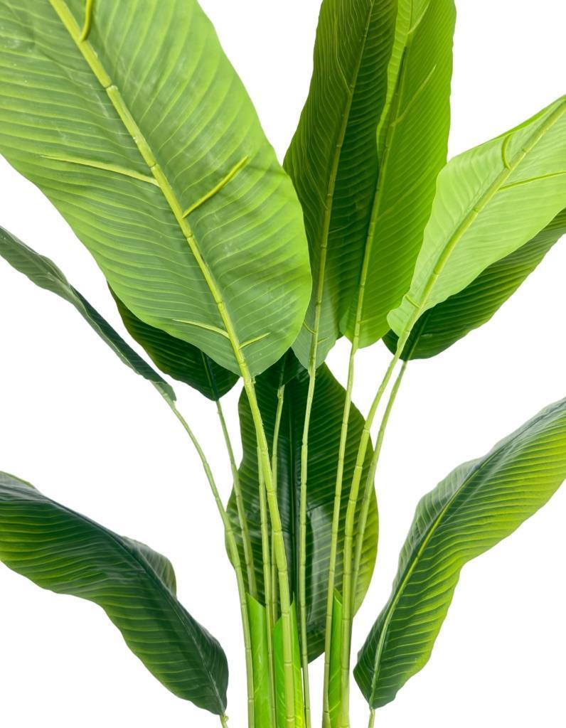 Yapay Starliçe Muz Ağacı Antrasit Kumsal Vazoda Muz Ağacı Yapay Starliçe 150cm 12 Yaprak