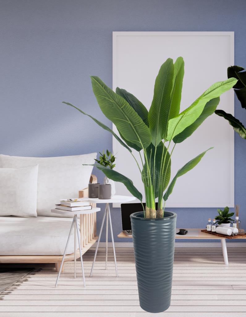 Yapay Starliçe Muz Ağacı Antrasit Kumsal Vazoda Muz Ağacı Yapay Starliçe 150cm 12 Yaprak