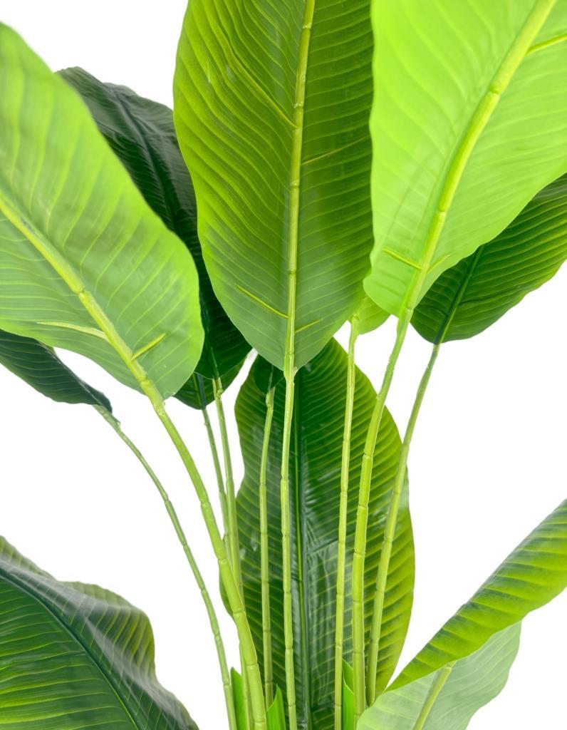 Yapay Starliçe Muz Ağacı Beyaz Kumsal Vazoda Muz Ağacı Yapay Starliçe 150cm 12 Yaprak