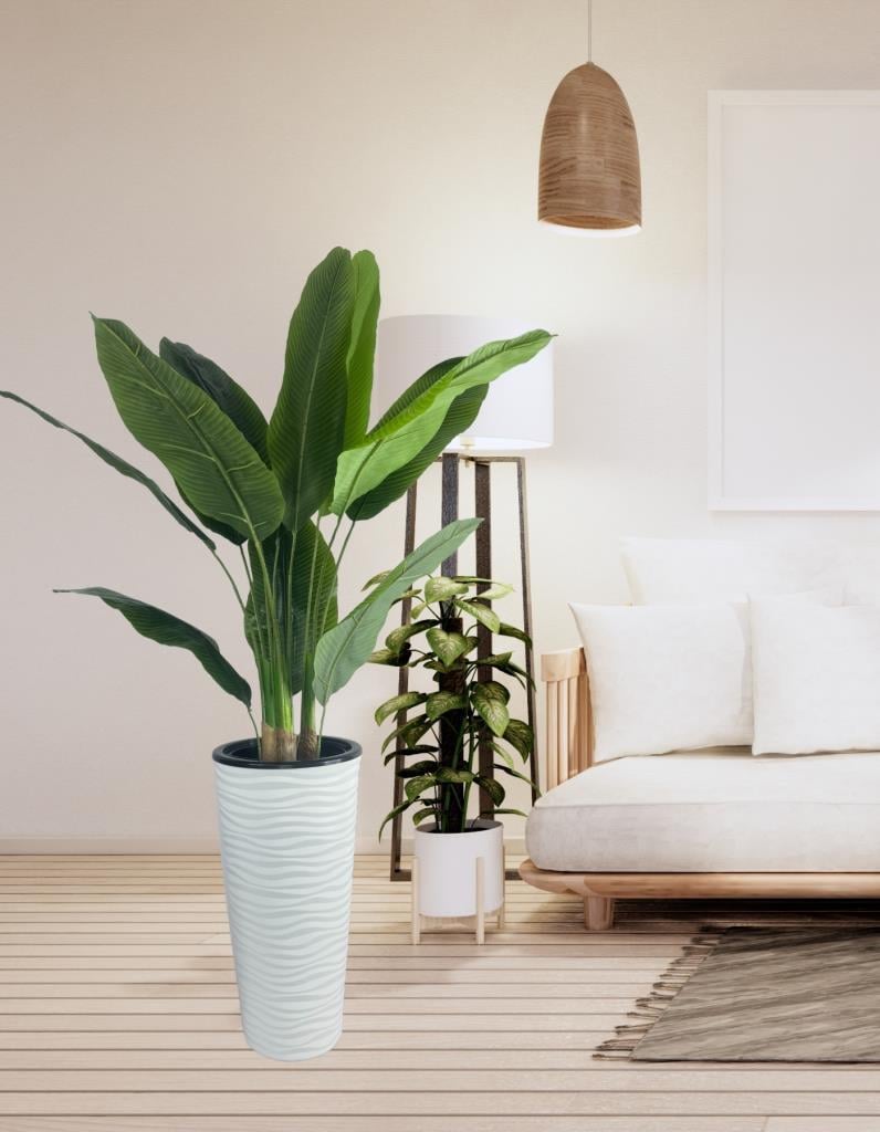 Yapay Starliçe Muz Ağacı Beyaz Kumsal Vazoda Muz Ağacı Yapay Starliçe 150cm 12 Yaprak