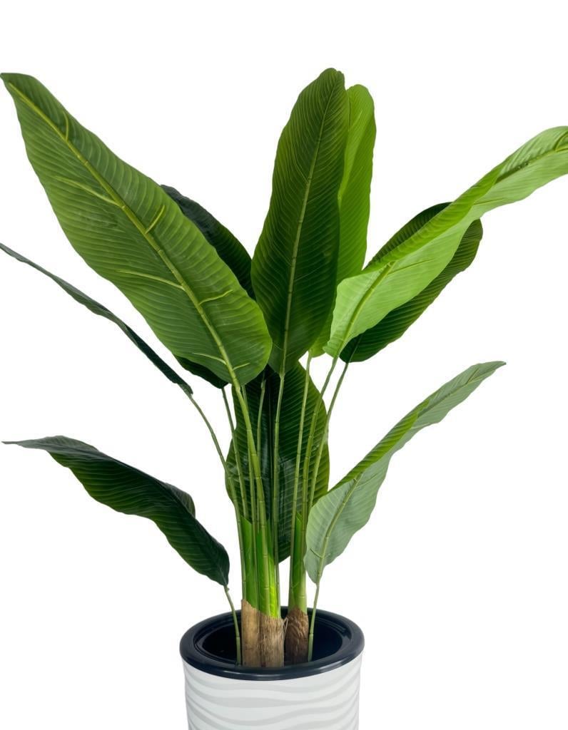 Yapay Starliçe Muz Ağacı Beyaz Kumsal Vazoda Muz Ağacı Yapay Starliçe 150cm 12 Yaprak