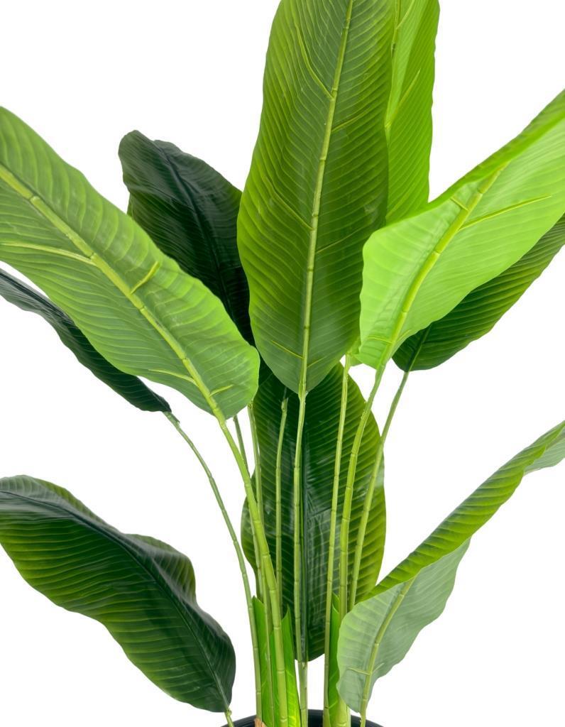 Yapay Starliçe Muz Ağacı Beyaz Kumsal Vazoda Muz Ağacı Yapay Starliçe 150cm 12 Yaprak
