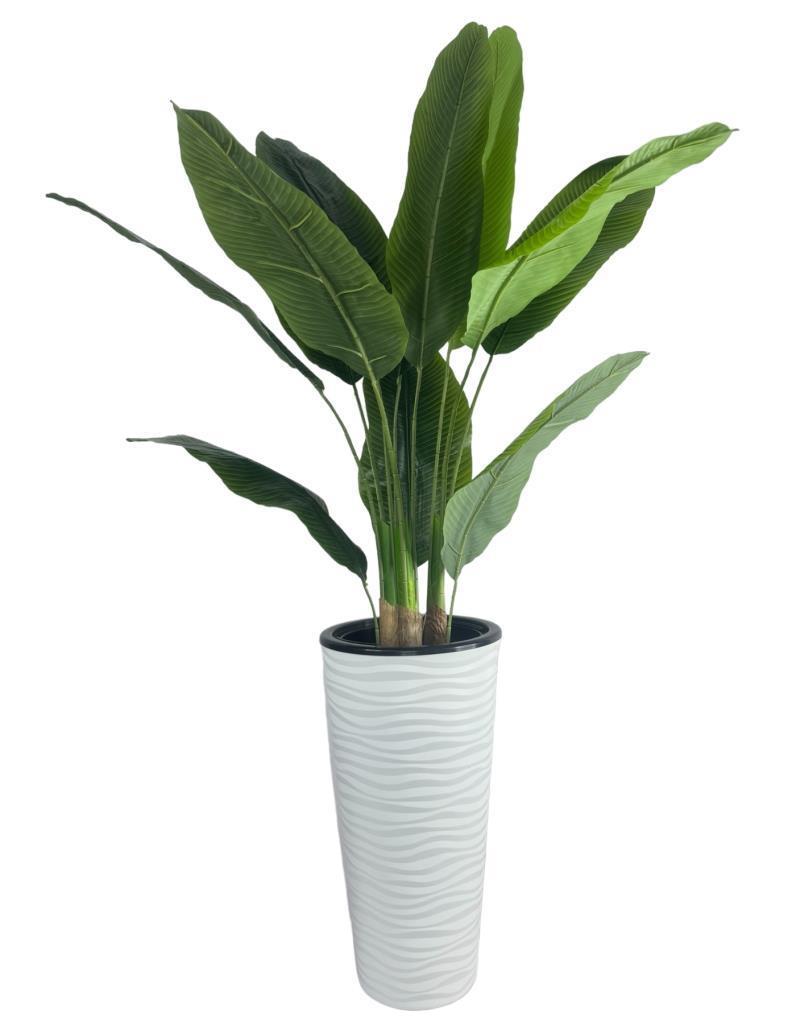 Yapay Starliçe Muz Ağacı Beyaz Kumsal Vazoda Muz Ağacı Yapay Starliçe 150cm 12 Yaprak