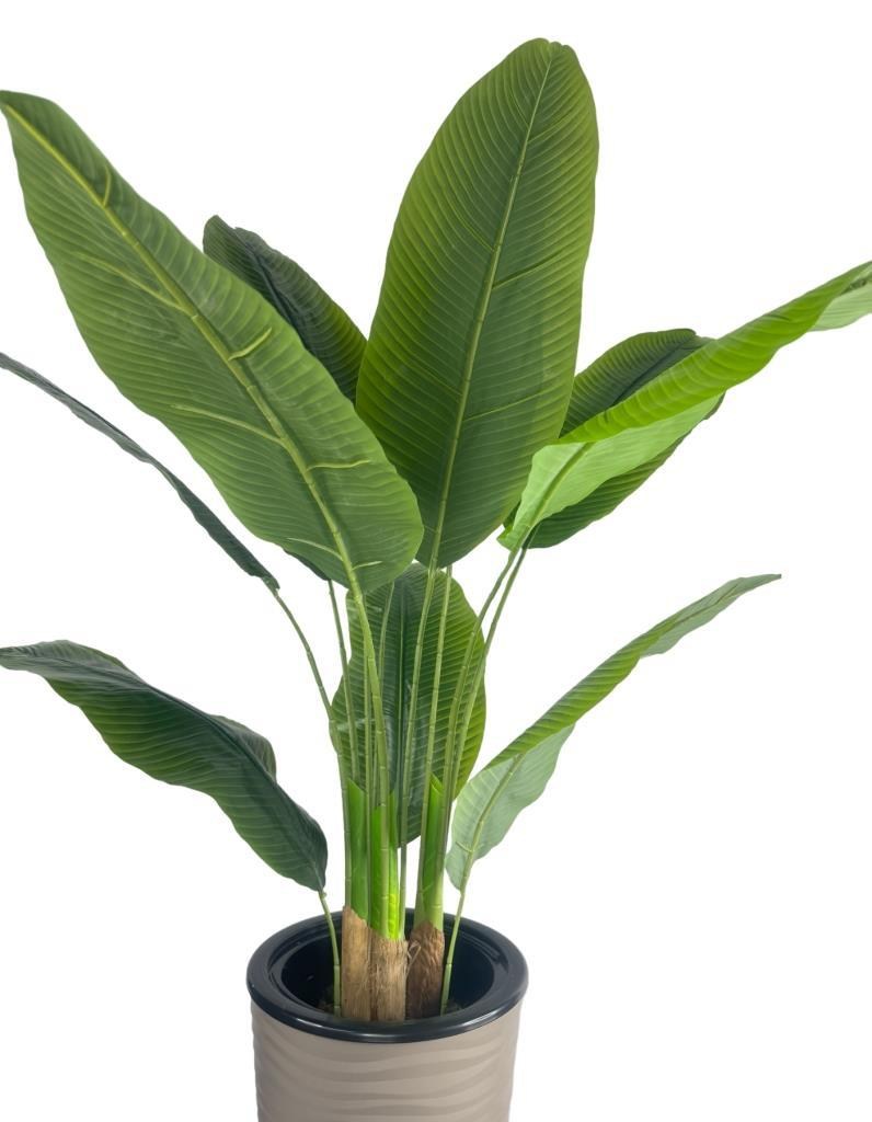 Yapay Starliçe Muz Ağacı Dore Kumsal Vazoda Muz Ağacı Yapay Starliçe 150cm 12 Yaprak
