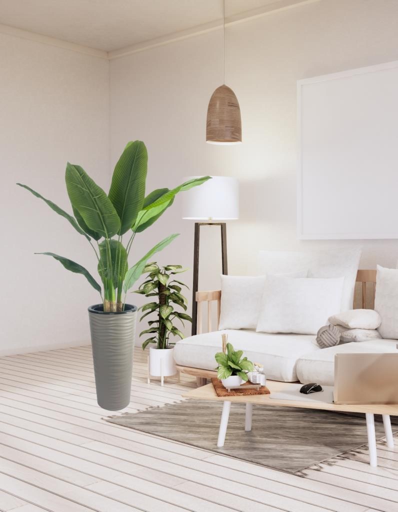 Yapay Starliçe Muz Ağacı Dore Kumsal Vazoda Muz Ağacı Yapay Starliçe 150cm 12 Yaprak