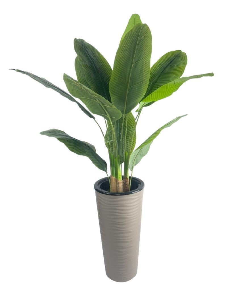 Yapay Starliçe Muz Ağacı Dore Kumsal Vazoda Muz Ağacı Yapay Starliçe 150cm 12 Yaprak