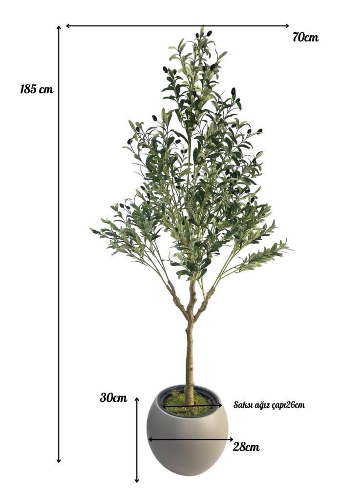 Yapay Zeytin Ağacı 185cm Doğal Görünümlü Yapay Ağaç Mokka Renk 30cm Küre Saksıda