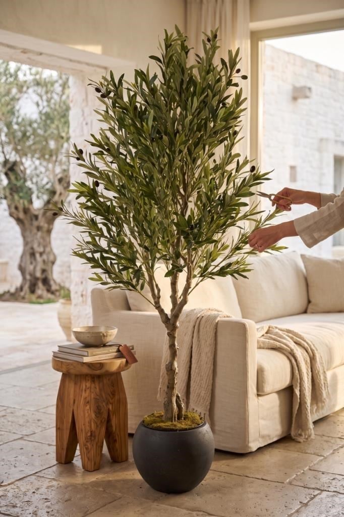 Yapay Zeytin Ağacı Doğal Kök Detaylı Büyük Dolgun Model Antrasit Plastik Küre Saksıda 200cm Yapay Ağaç