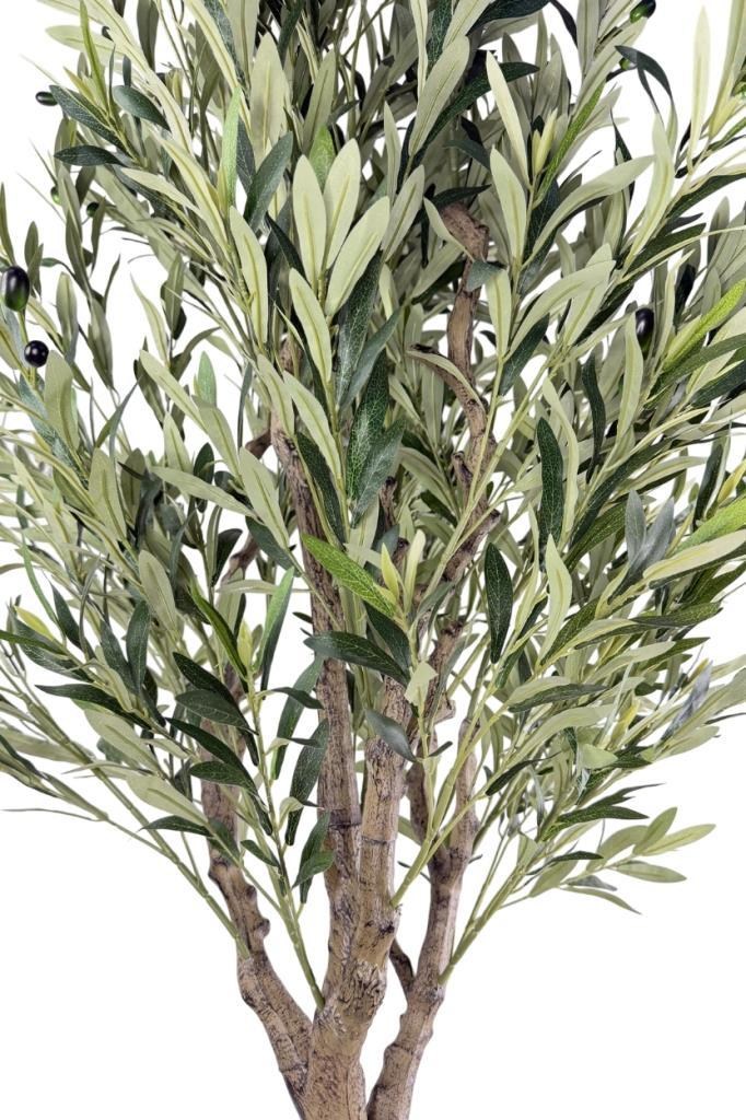 Yapay Zeytin Ağacı Doğal Kök Detaylı Büyük Dolgun Model Beyaz Plastik Küre Saksıda 200cm Yapay Ağaç