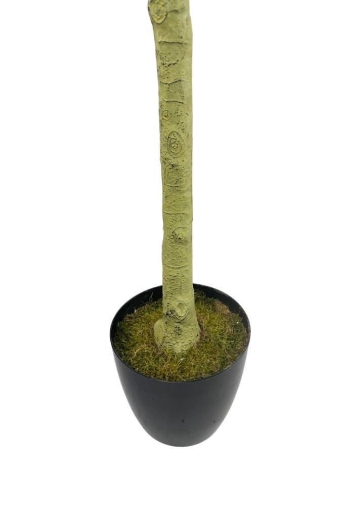Yapay Zeytin Ağacı Lüks 160cm Doğal Gövdeli Gerçek Görünümlü Yapay Ağaç 2215