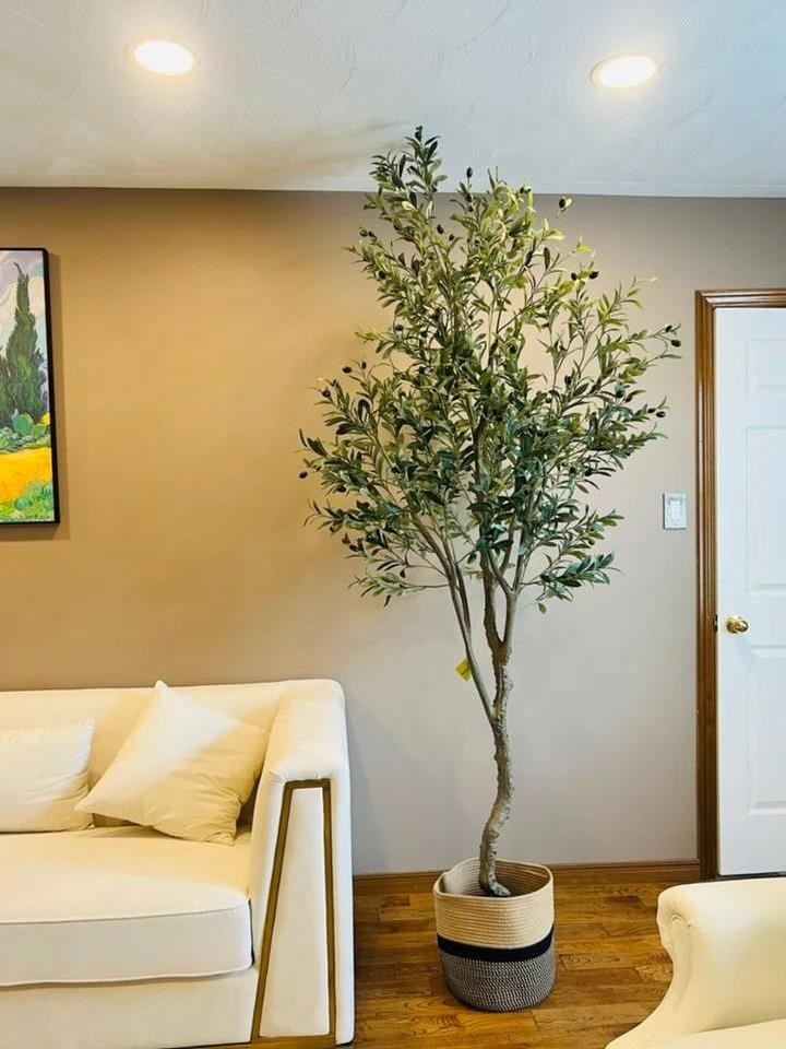 Yapay Zeytin Ağacı Lüx 240cm Doğal Gövdeli Gerçek Görünümlü Yapay Ağaç
