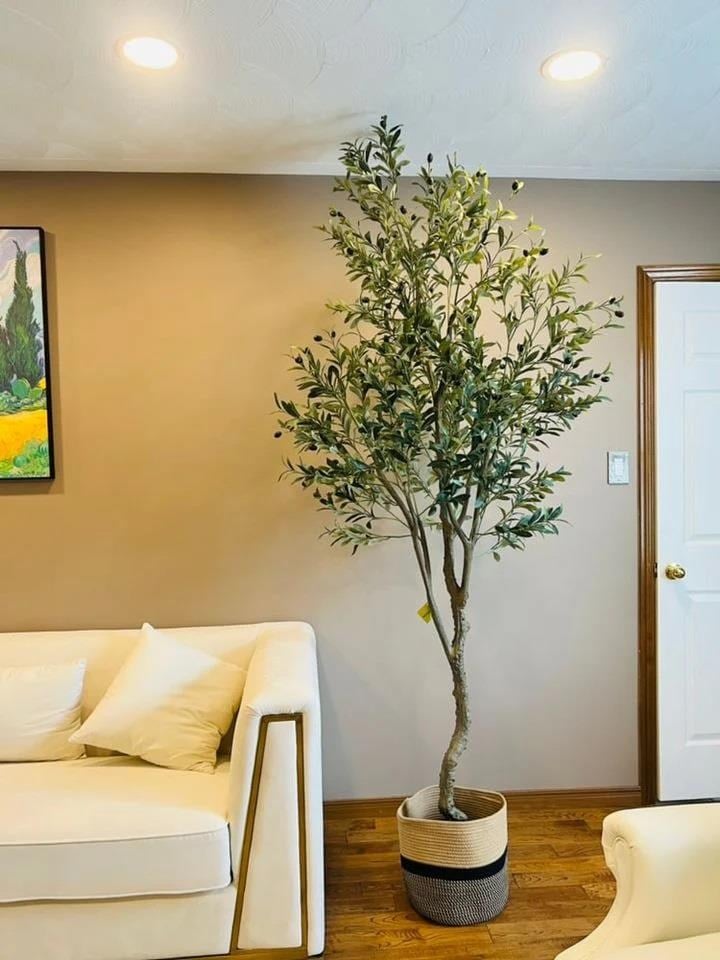 Yapay Zeytin Ağacı Lüx 240cm Doğal Gövdeli Gerçek Görünümlü Yapay Ağaç