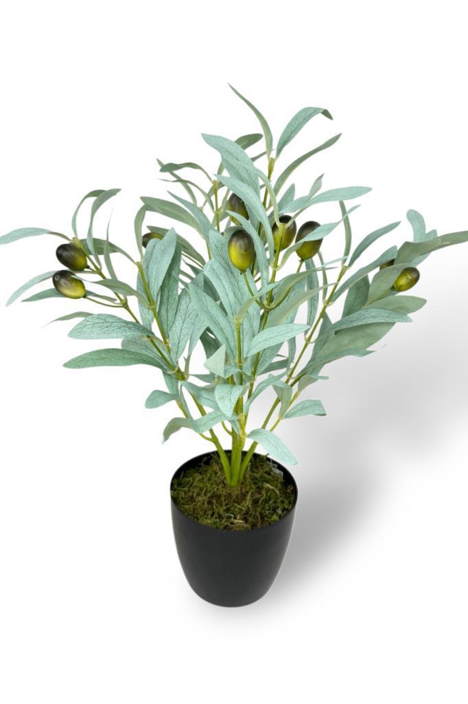 Yapay Zeytin Ağacı Saksıda 40cm 5 Dallı 10 Meyveli Pastel Yapay Çiçek Artificial Olive