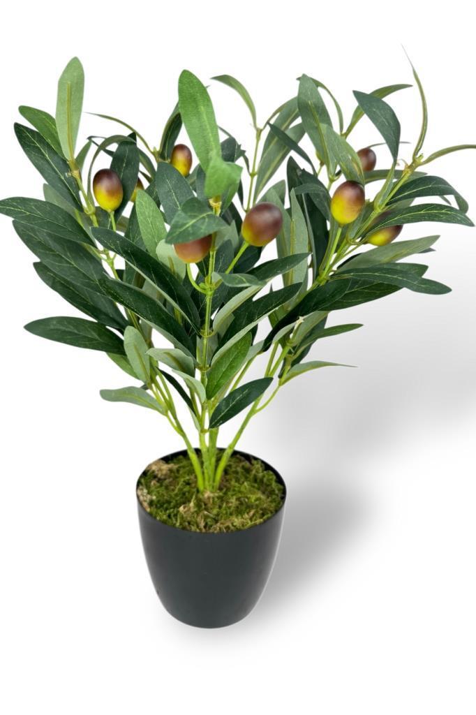 Yapay Zeytin Ağacı Saksıda 40cm 5 Dallı 10 Meyveli Yapay Çiçek Artificial Olive