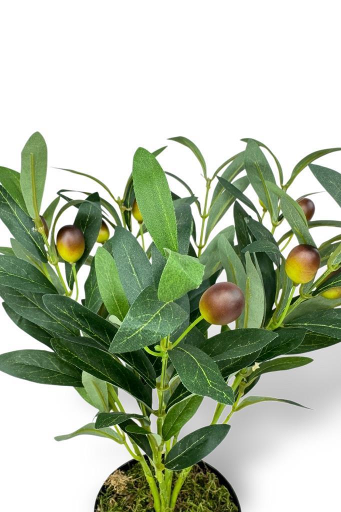 Yapay Zeytin Ağacı Saksıda 40cm 5 Dallı 10 Meyveli Yapay Çiçek Artificial Olive