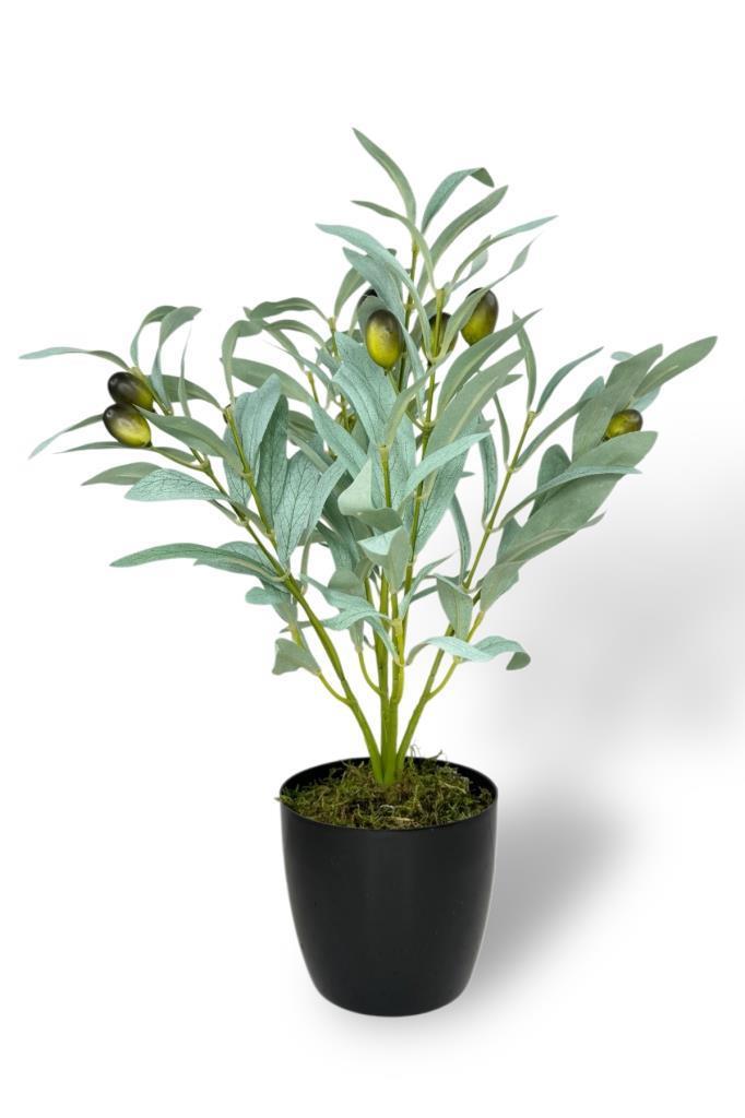 Yapay Zeytin Ağacı Saksıda 40cm 5 Dallı 10 Meyveli Pastel Yapay Çiçek Artificial Olive