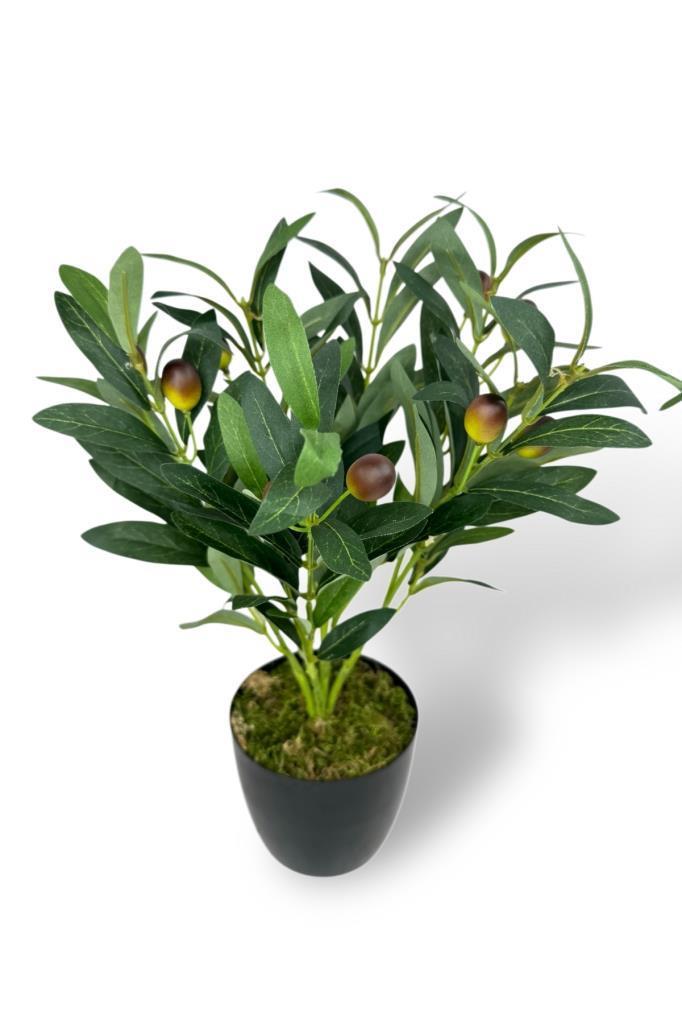 Yapay Zeytin Ağacı Saksıda 40cm 5 Dallı 10 Meyveli Yapay Çiçek Artificial Olive