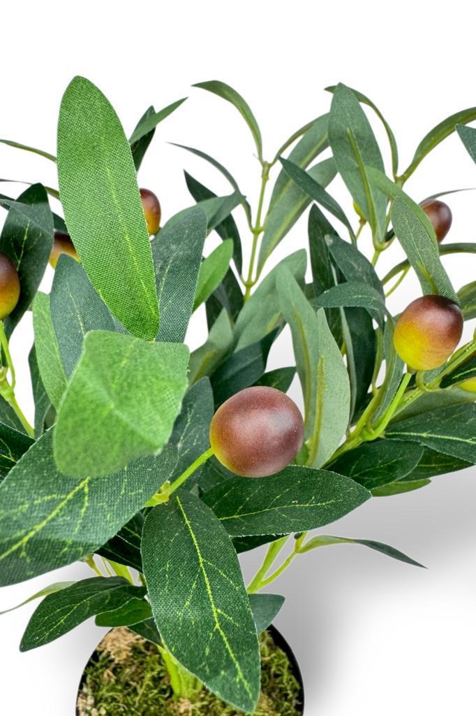 Yapay Zeytin Ağacı Saksıda 40cm 5 Dallı 10 Meyveli Yapay Çiçek Artificial Olive