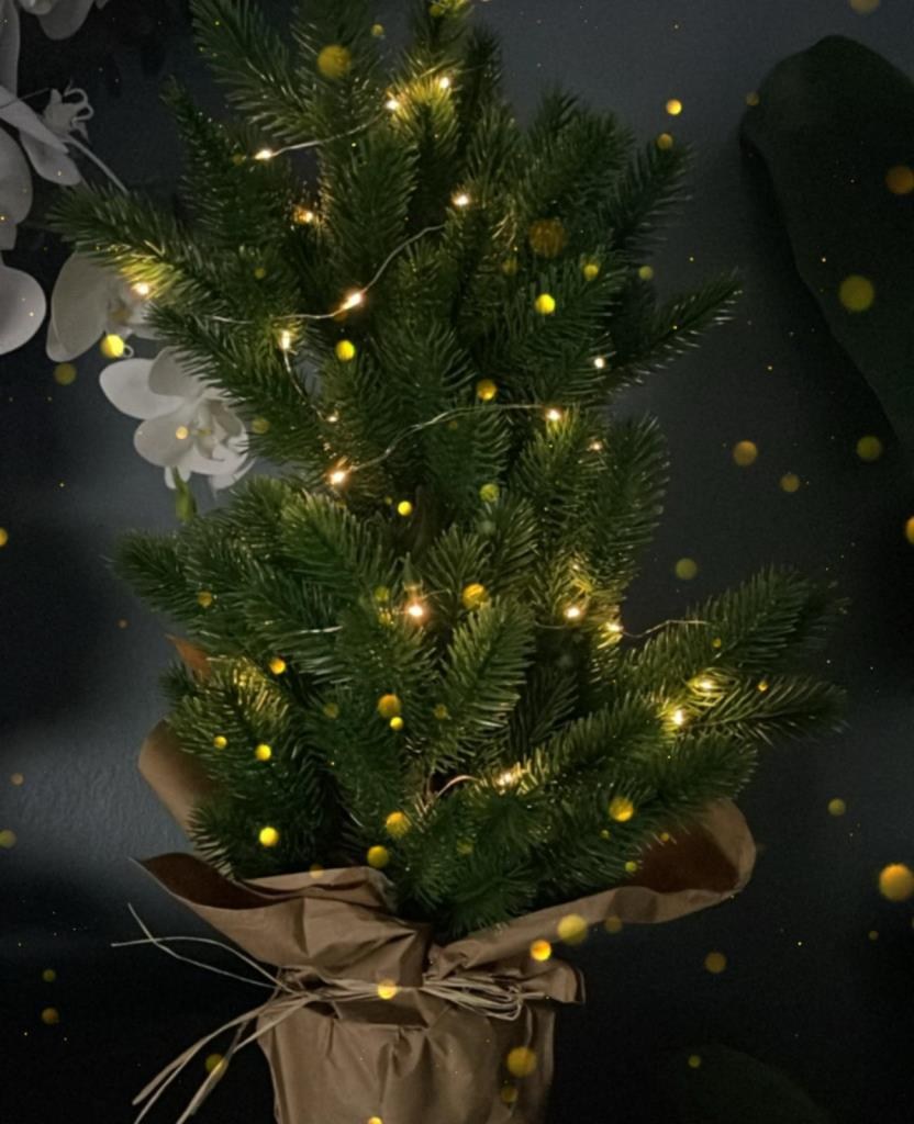 Yılbaşı Ağacı Led Işıklı Yapay Çam Ağacı Kraft Saksıda 55cm